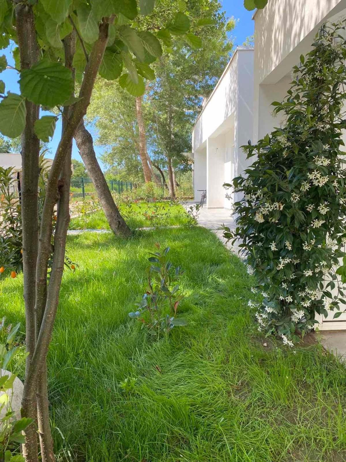Villa Hanna Ulcinj Exterior photo